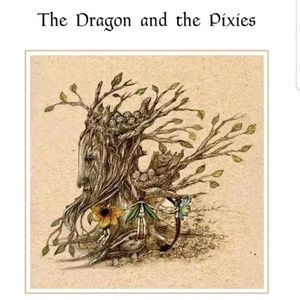 New Dragon & the pixies magical fairy childrens book - Price Firm